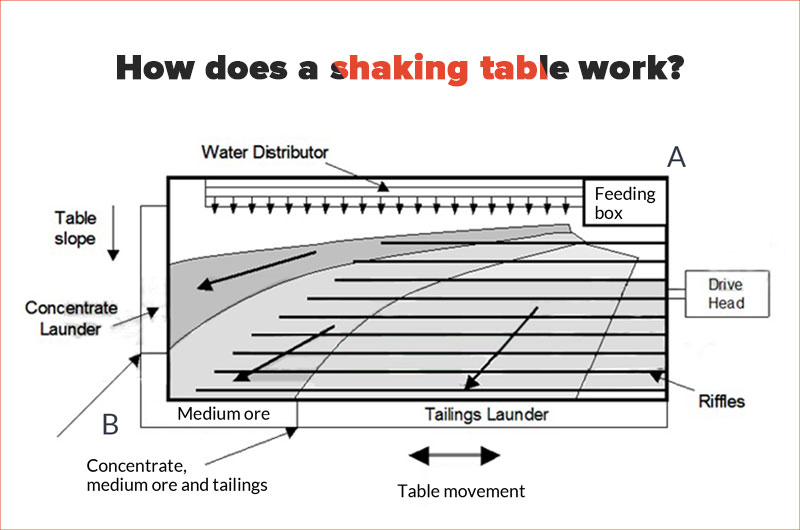 shaking table.jpg